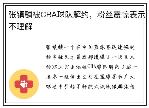 张镇麟被CBA球队解约，粉丝震惊表示不理解